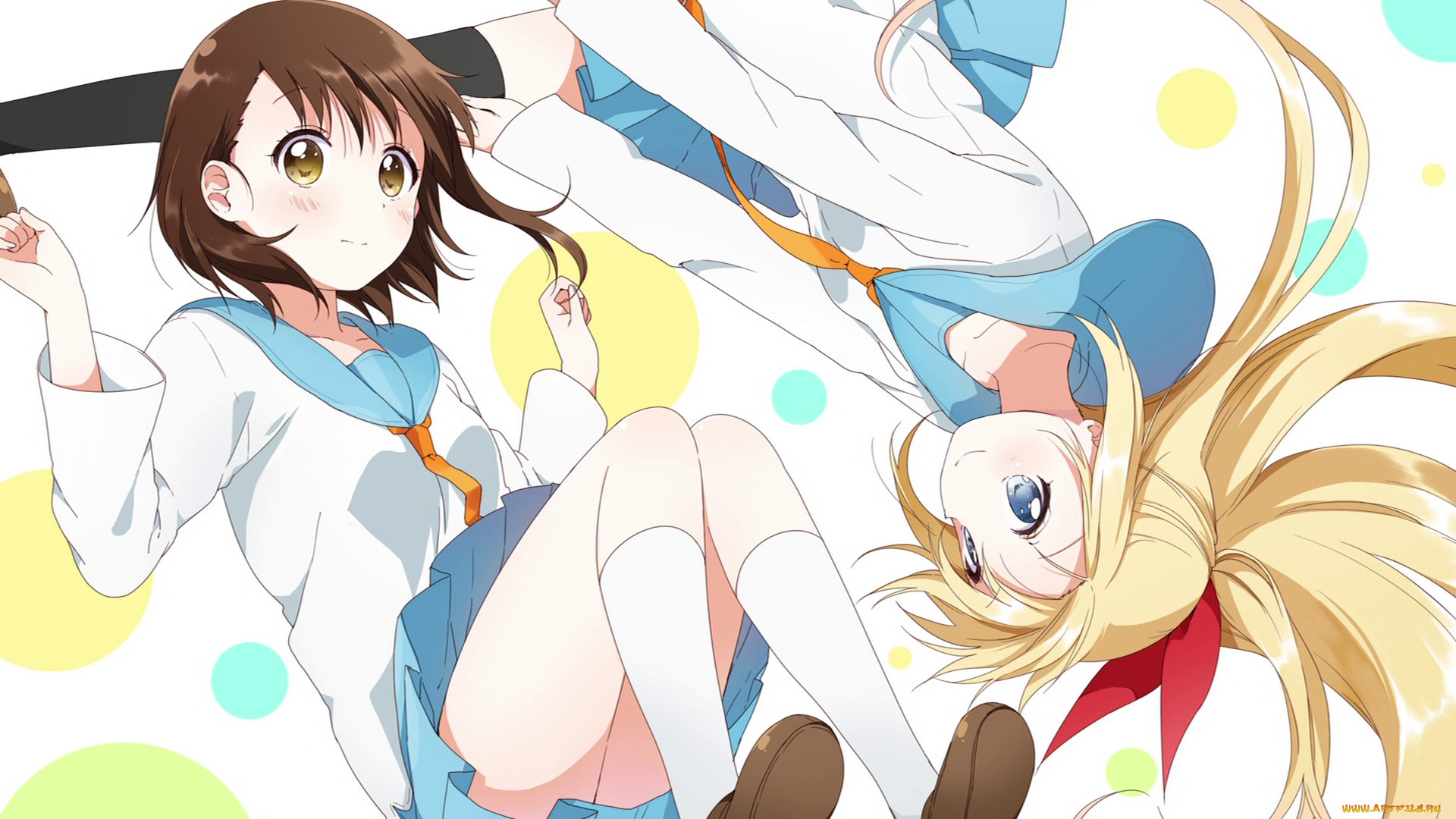 nisekoi, , , , 